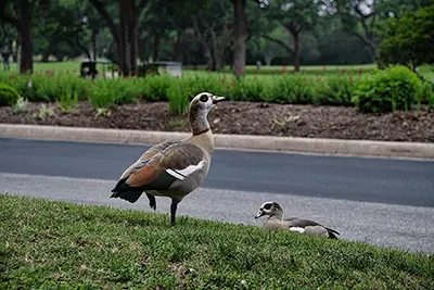 Convive con la naturaleza en el Dominion
